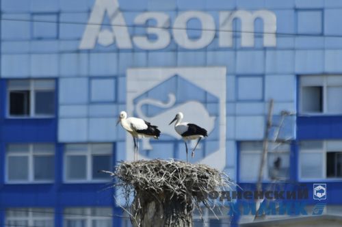 В ОАО «Гродно Азот» под руководством генерального директора Игоря Ляшенко прошло расширенное производственное оперативное совещание